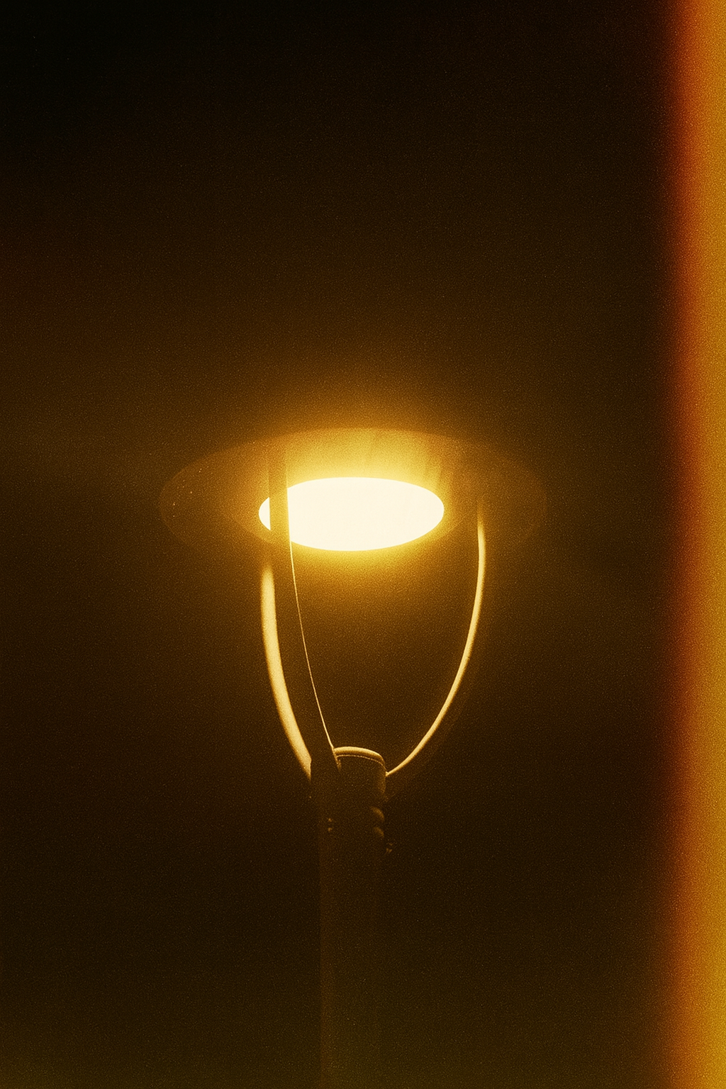 EB Kodak LUTs Pack – for Blackmagic Camera App