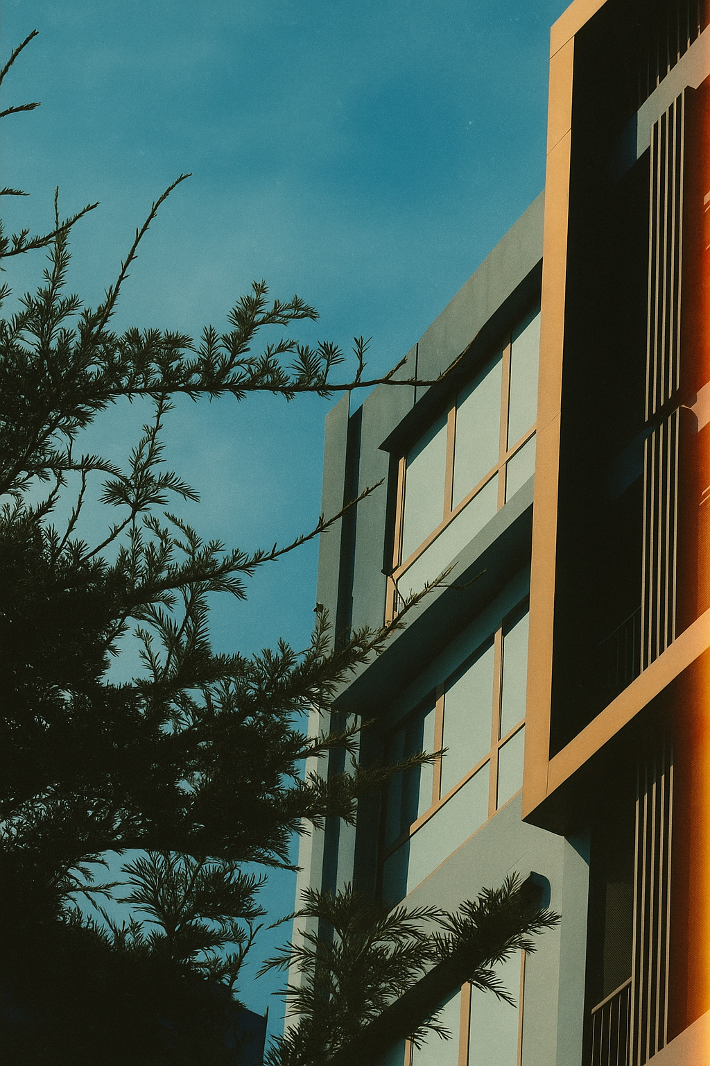 EB Kodak LUTs Pack – for Blackmagic Camera App