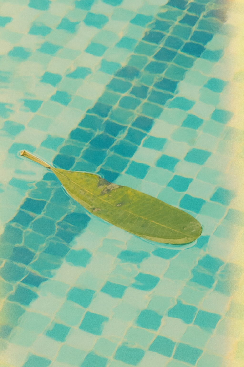 EB Kodak LUTs Pack – for Blackmagic Camera App